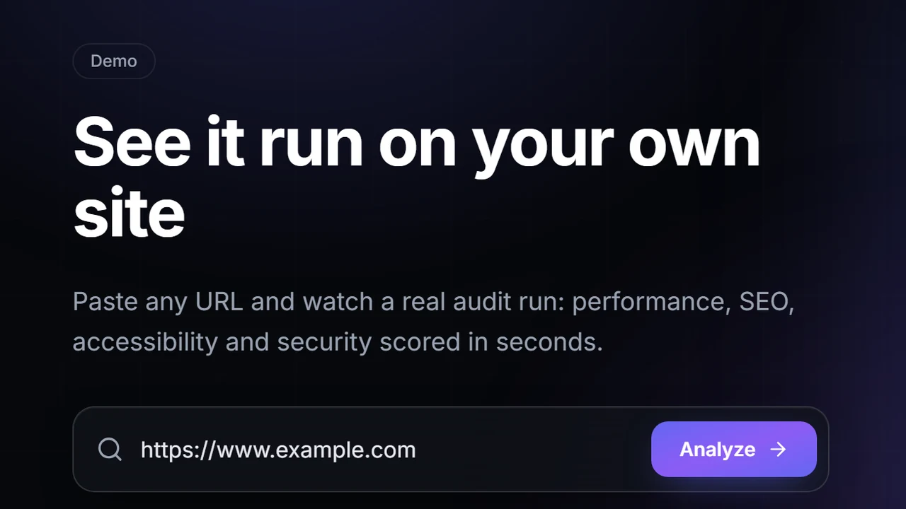 Screenshot of Rudra Analyzer's demo page with a website URL entered in the scan box, next to the Analyze button that starts a free website audit.